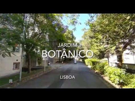  O Jardim Botânico de Rostock: Um Paraíso Verde em Meio à Cidade Hanseática!