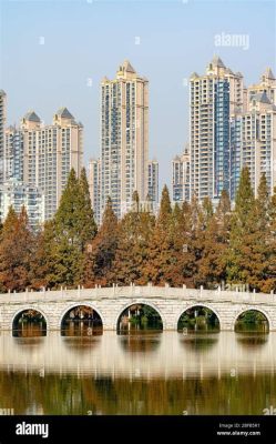 Lago de Xiaoyaojin: Um Refúgio Tranquilo Para Desfrutar da Natureza e Observar a Vida Selvagem Local!